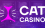 Сat casino